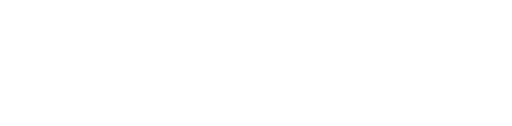 Dastyfly sim